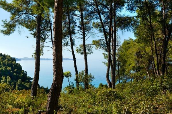 Πεζοπορία