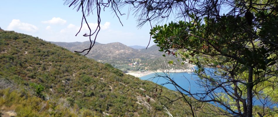 Πεζοπορία