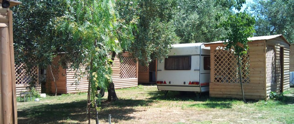 περιοχή με ελαιόδεντρα