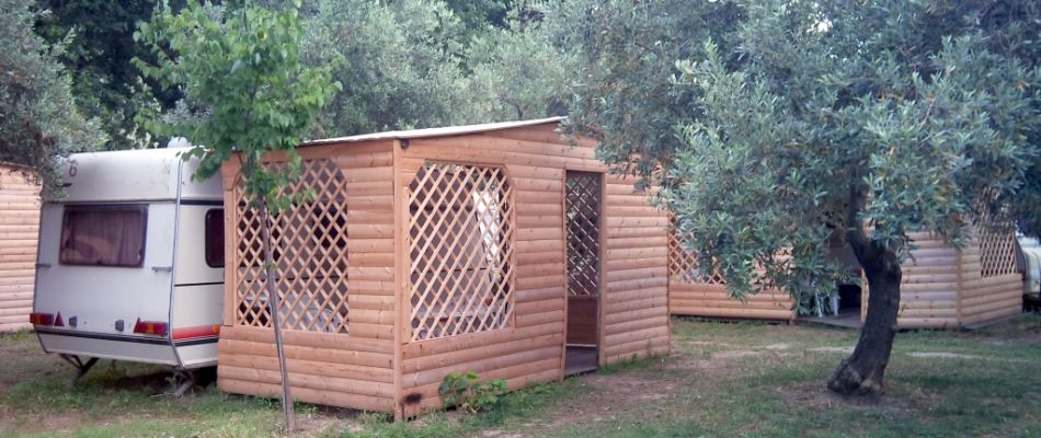 περιοχή με ελαιόδεντρα
