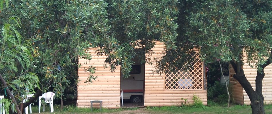 περιοχή με ελαιόδεντρα